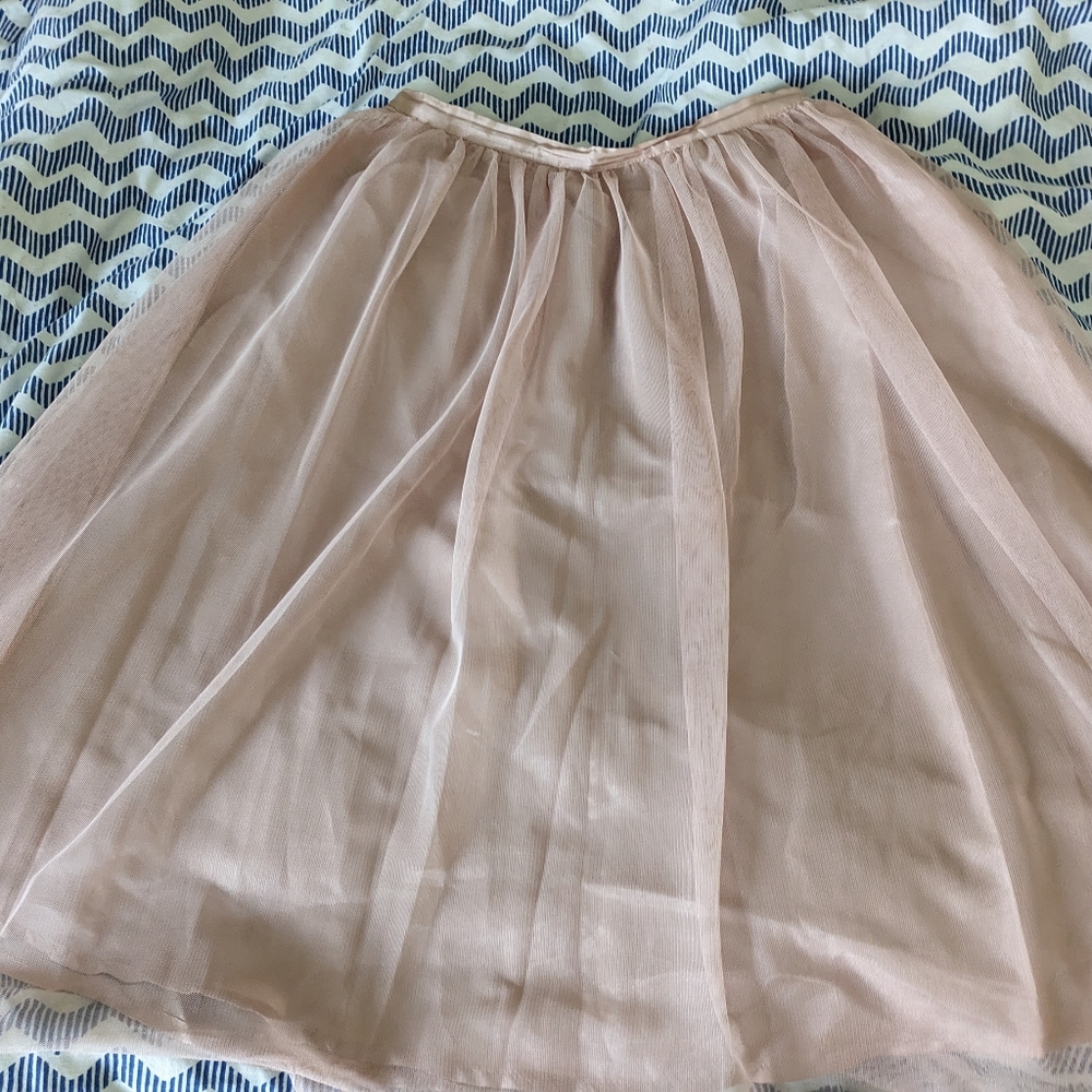 Zara XS Tulle Skirt